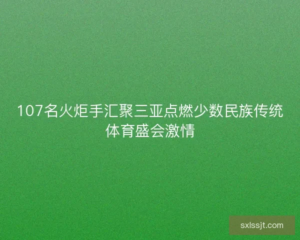 107名火炬手汇聚三亚点燃少数民族传统体育盛会激情