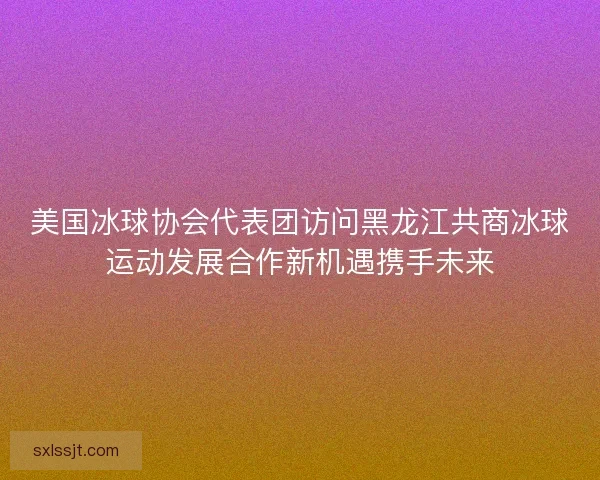 美国冰球协会代表团访问黑龙江共商冰球运动发展合作新机遇携手未来 美国冰球协会代表团访问黑龙江共商冰球运动发展合作新机遇携手未来