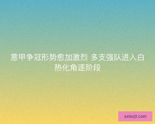 意甲争冠形势愈加激烈 多支强队进入白热化角逐阶段 意甲争冠形势愈加激烈 多支强队进入白热化角逐阶段