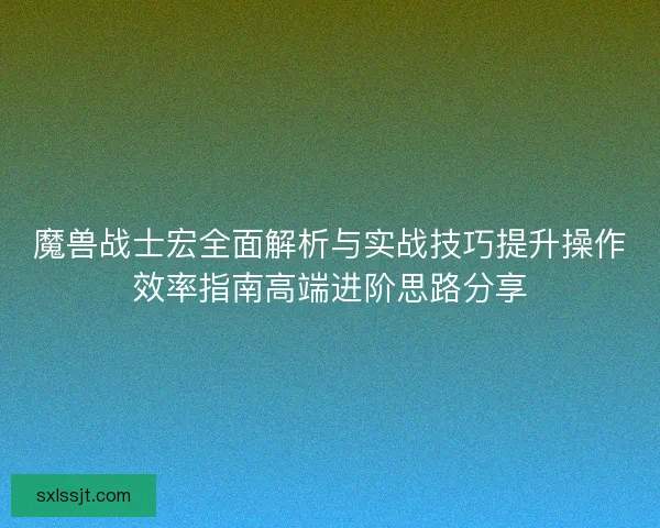 魔兽战士宏全面解析与实战技巧提升操作效率指南高端进阶思路分享